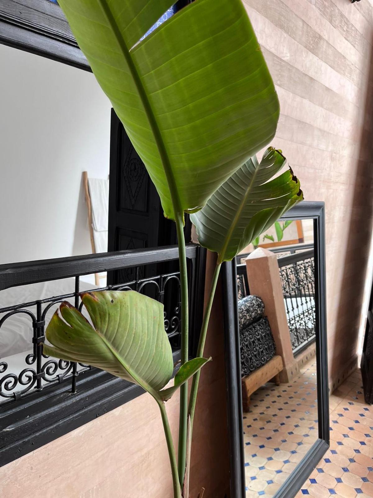 Riad Black Doors Marrakesz Zewnętrze zdjęcie